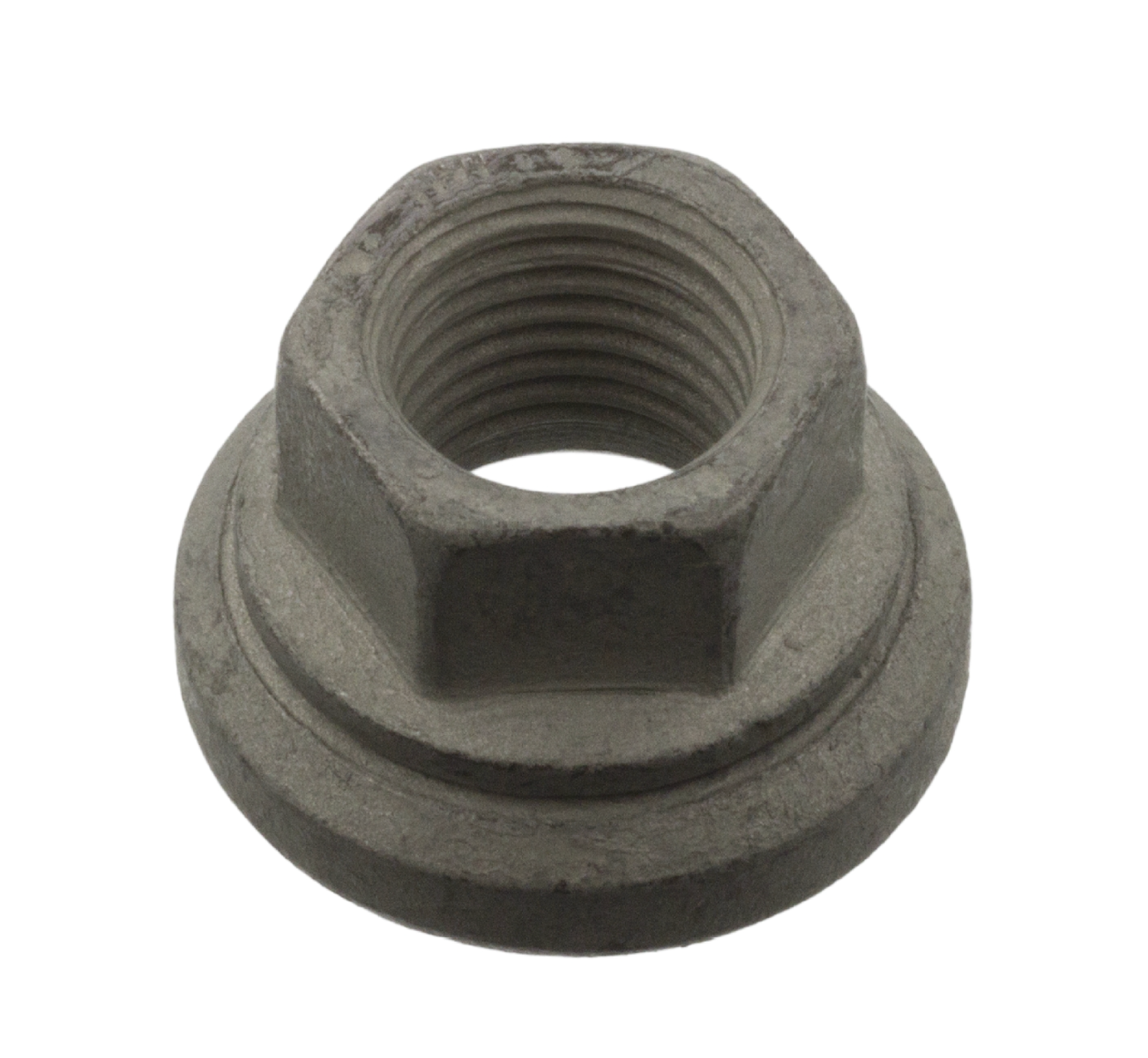 Wielmoer (Vooras, Achteras)